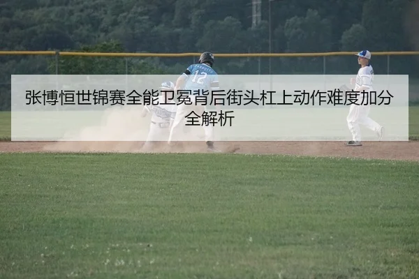 张博恒世锦赛全能卫冕背后街头杠上动作难度加分全解析